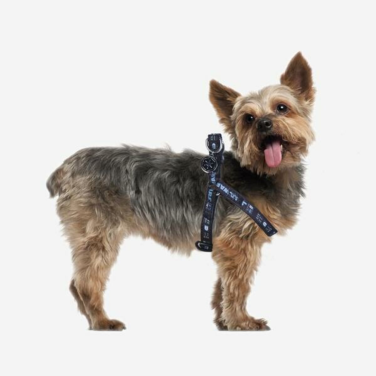 Hundsele Star Wars Svart S/M - Star Wars | Valpoteket