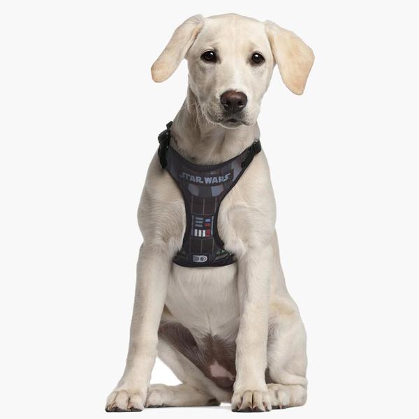 Hundsele Star Wars XXS/XS Svart