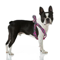 Hundsele Superman Rosa XS/S - Superman | Valpoteket