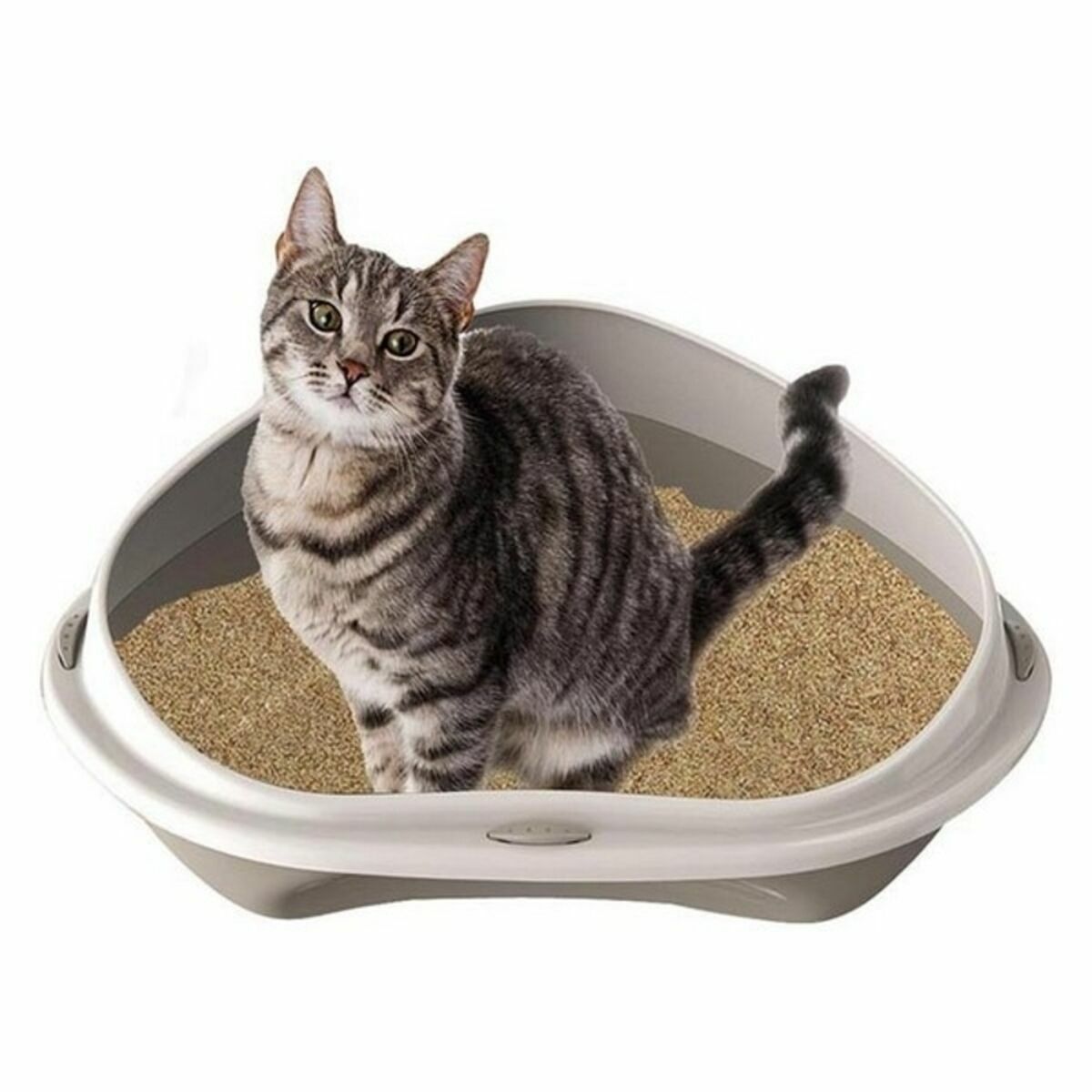 Cat box Georplast GP10536 58 x 48 x 20.5 cm (8 number)