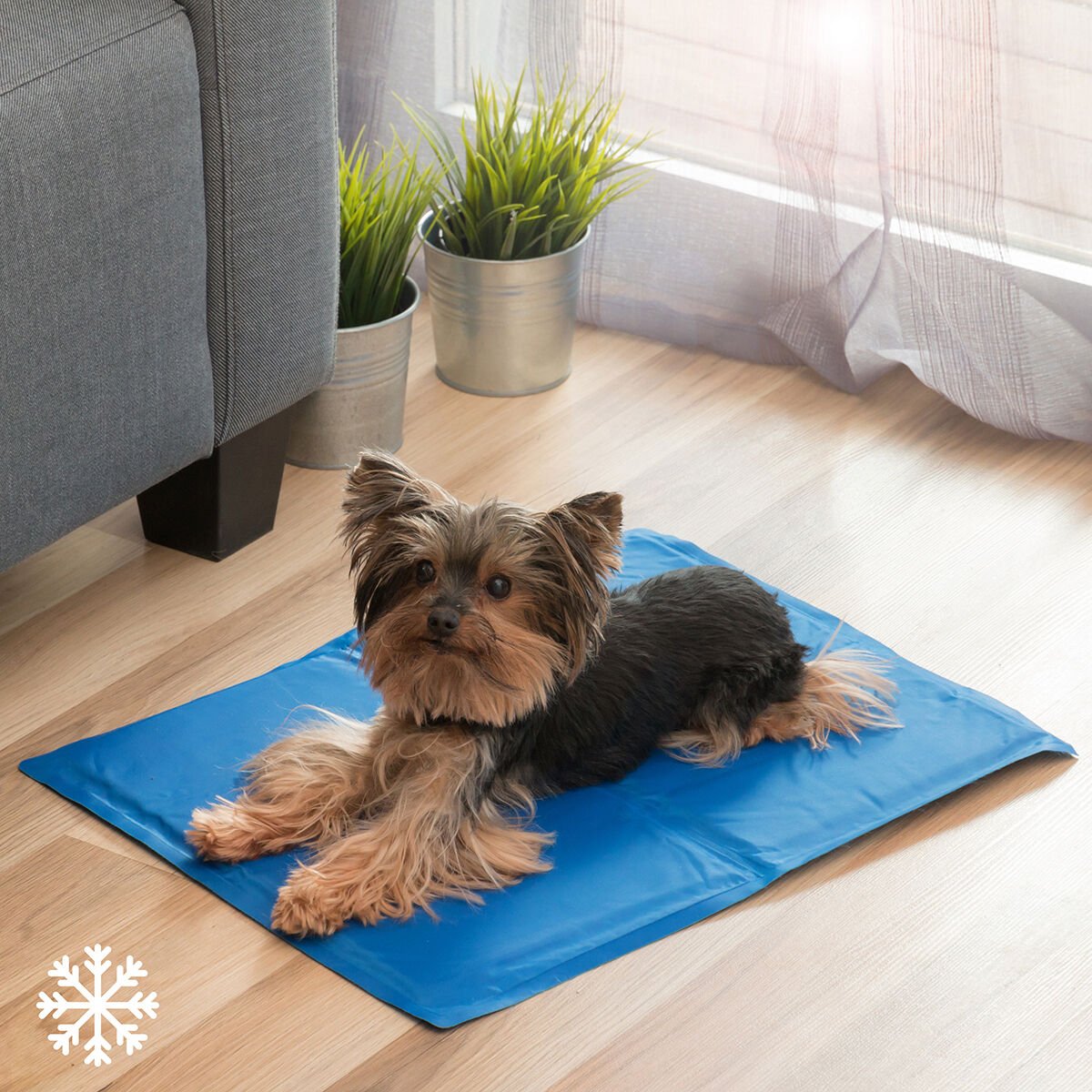 Cooling mat for pets Colet InnovaGoods 40 x 50 cm