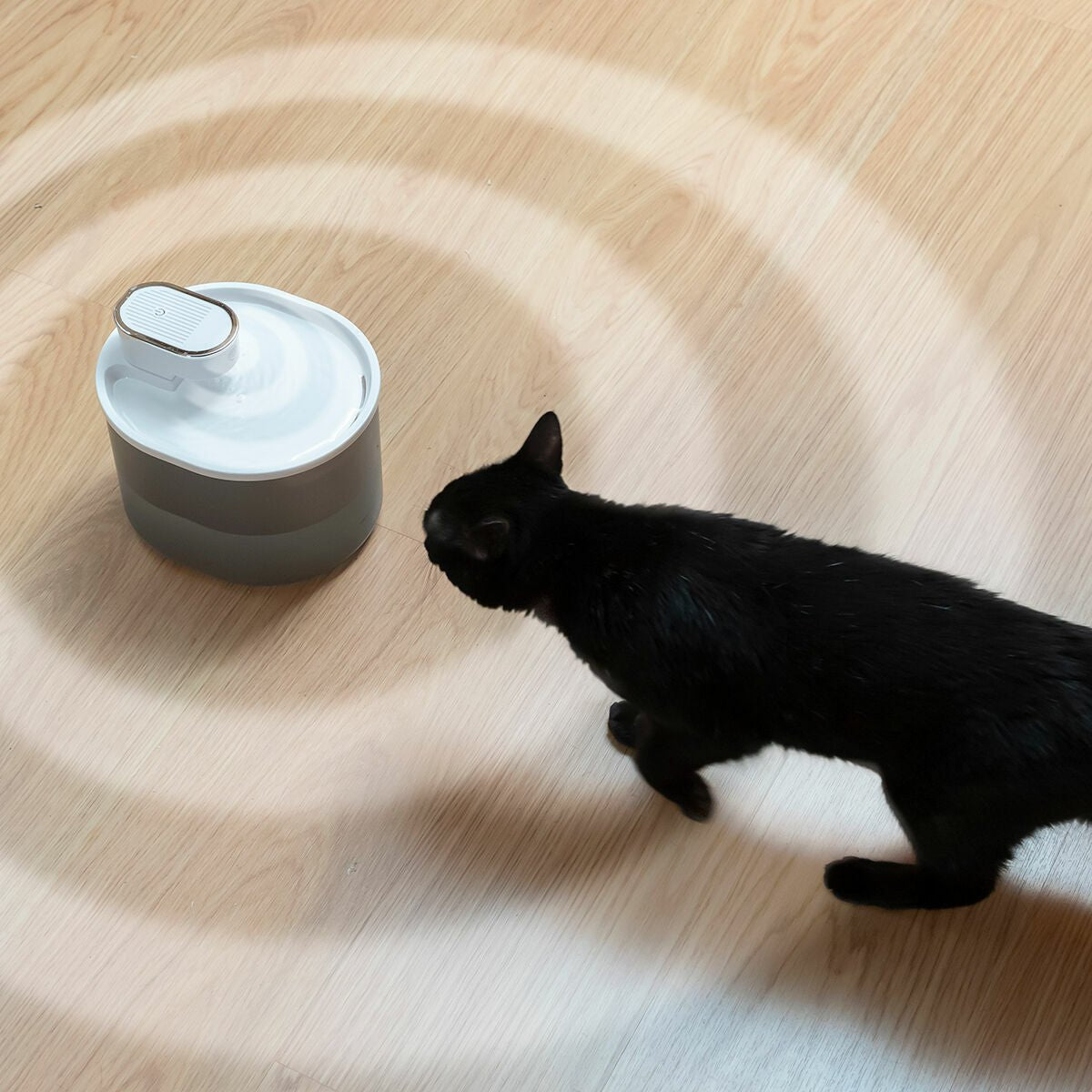 Laddningsbar Kattfontän med Sensor Refopet InnovaGoods - InnovaGoods | Valpoteket