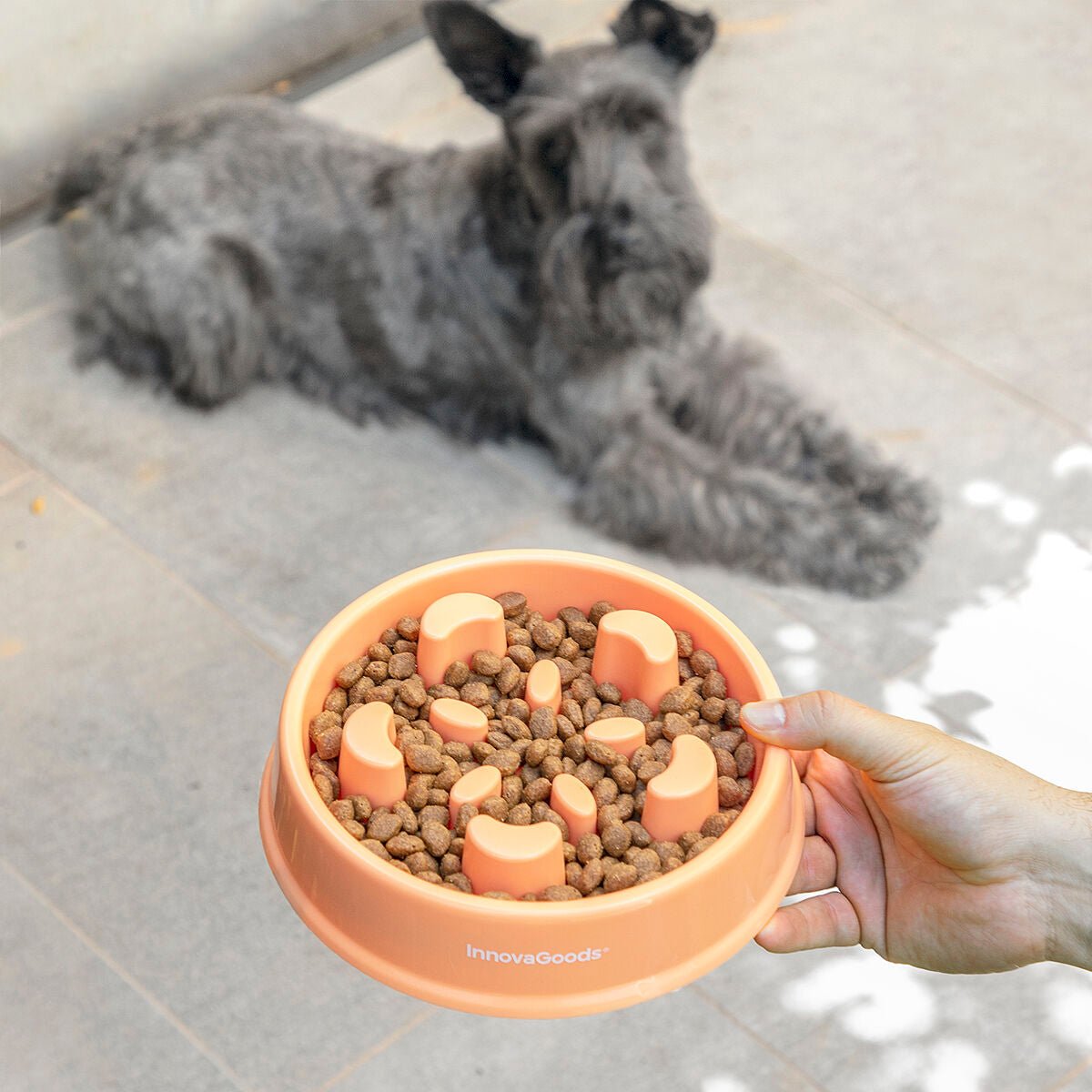 Slow eating food bowl for pets Slowfi InnovaGoods