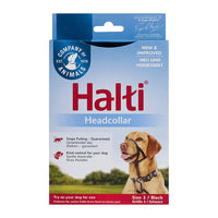 Nosgrimma hund Halti svart (40-54 cm) | Antidrag i koppel - Company of Animals | Valpoteket