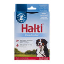 Nosgrimma hund Halti svart (46-62 cm) | Antidrag i koppel - Company of Animals | Valpoteket