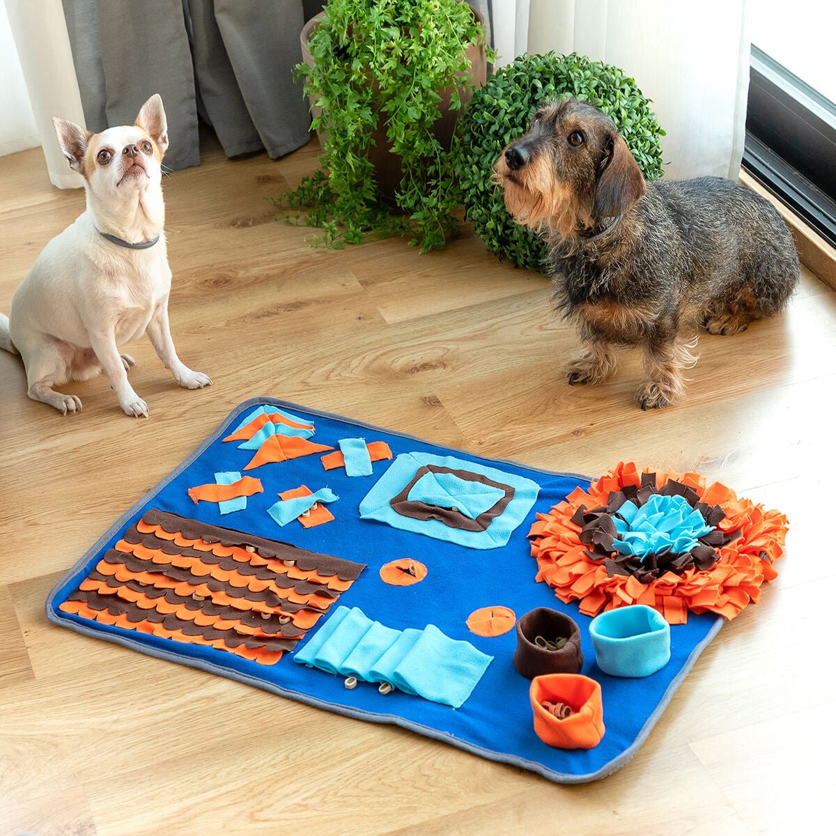 Olfactory mat for pets Foopark InnovaGoods