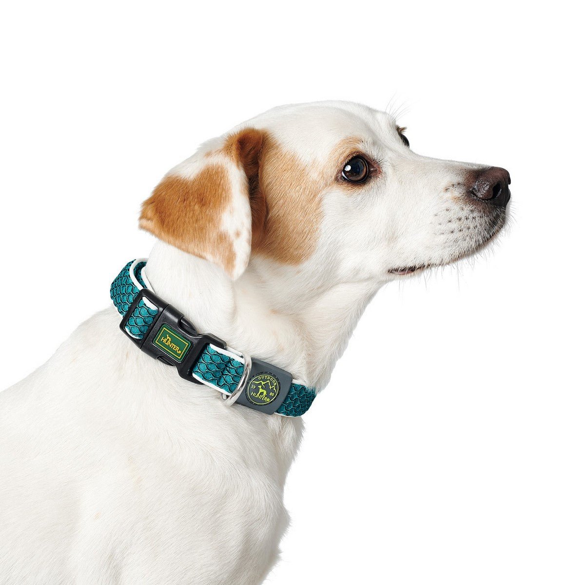 Reflexhalsband hund Hunter Hilo Basic turkos S - Hunter | Valpoteket