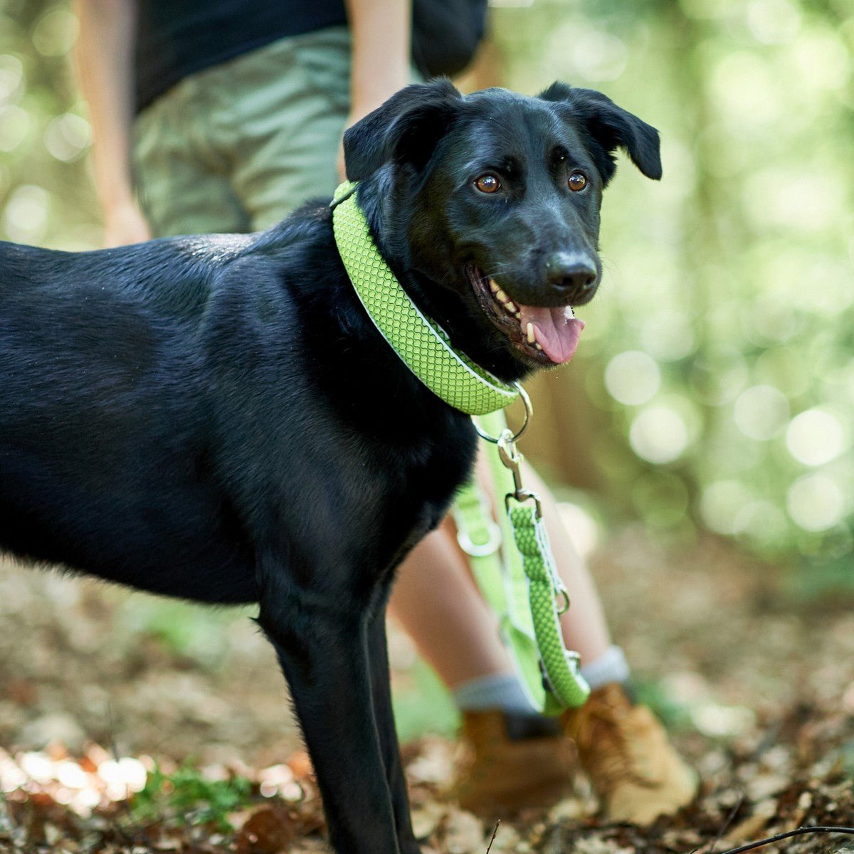 Reflexhalsband hund Hunter Hilo Plus grön L - Hunter | Valpoteket