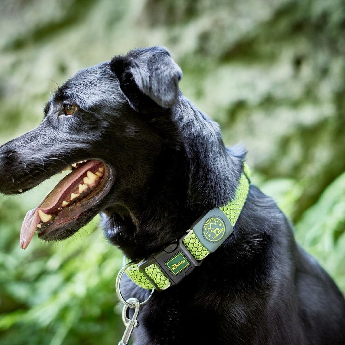 Reflexhalsband hund Hunter Hilo Plus grön XL - Hunter | Valpoteket