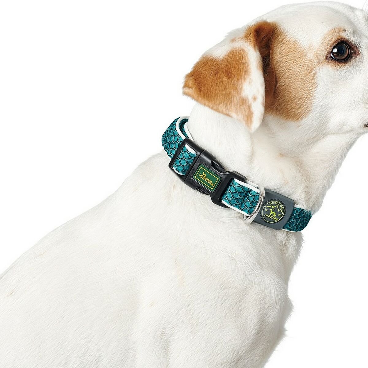 Reflexhalsband hund Hunter Hilo Röd S - Hunter | Valpoteket