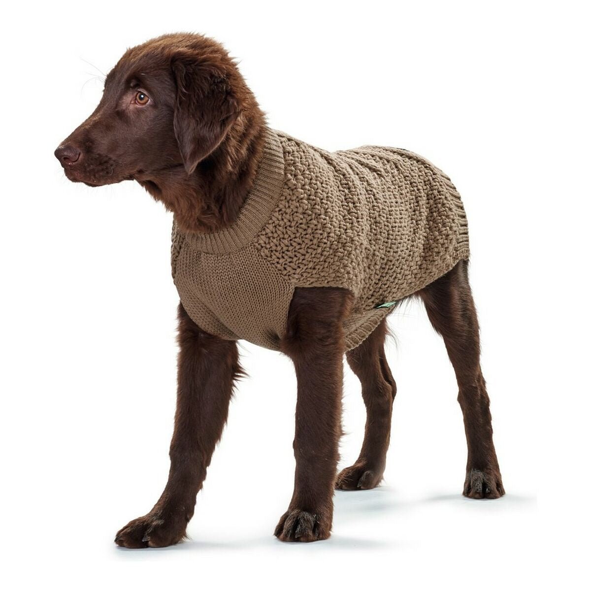 Knitted dog sweater Hunter Malmö