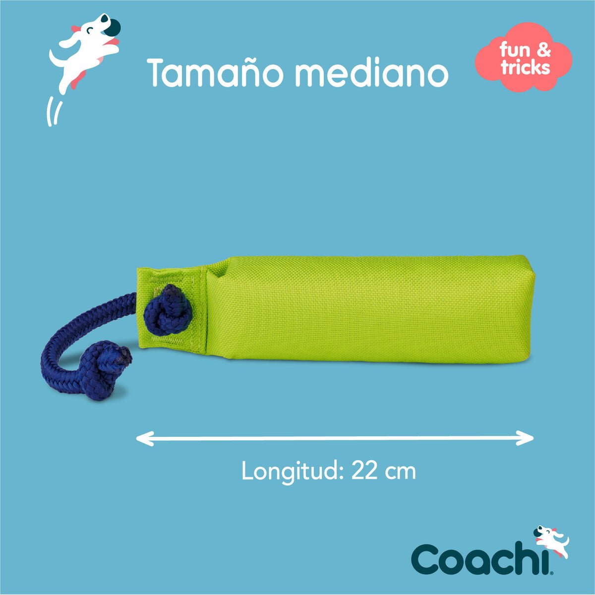 Training toy Coachi - Coachi | Valpoteket