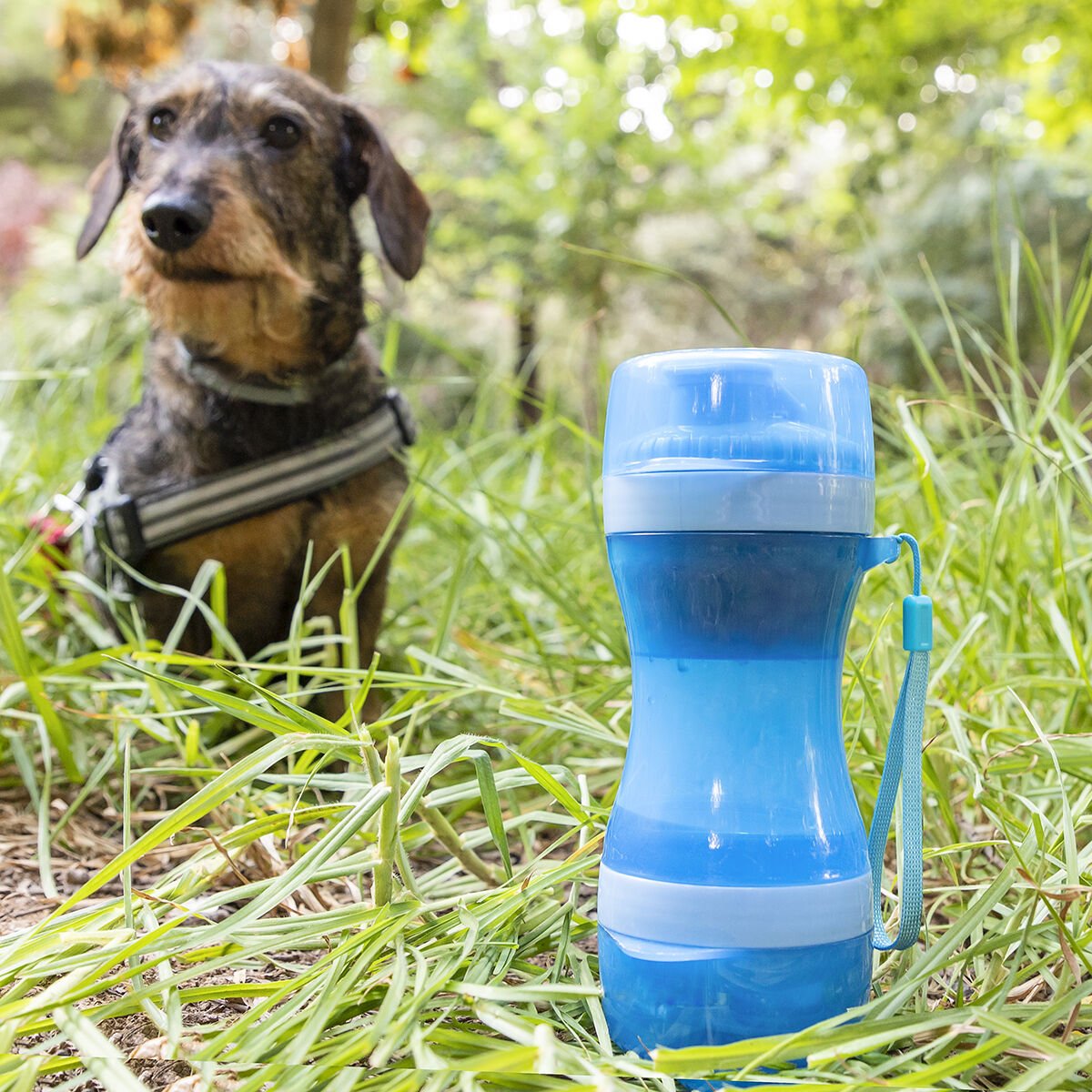 Two in one bottle | Water &amp; food containers 