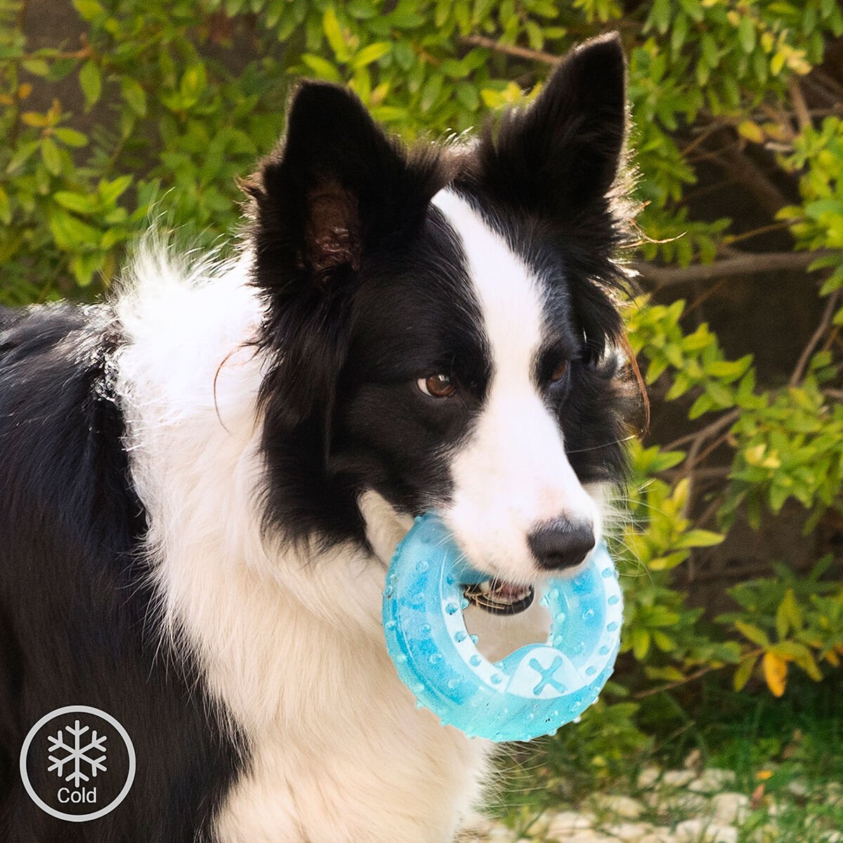 Refreshing chew toy | Freezable