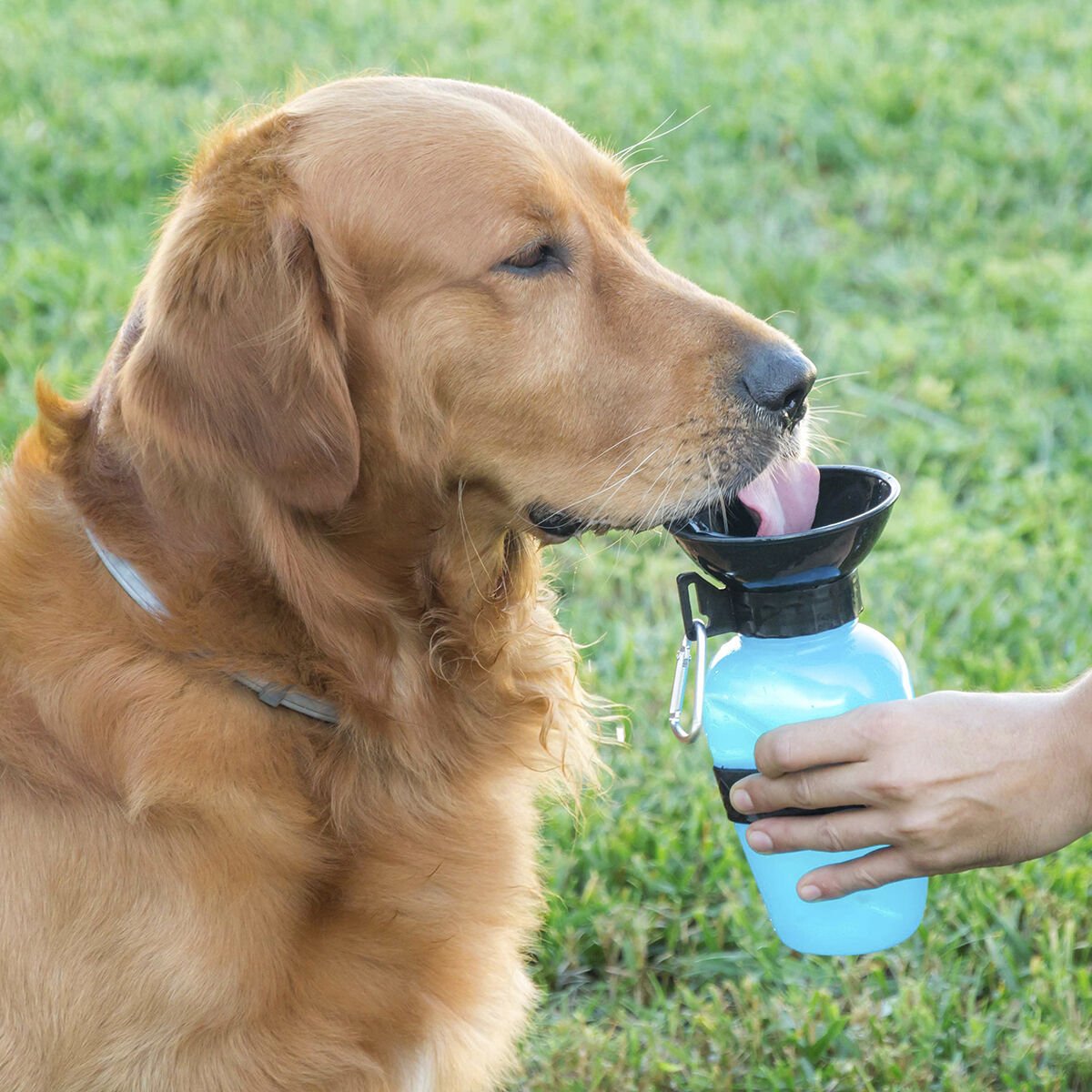 Water bottle with drinking bowl for dogs InnovaGoods